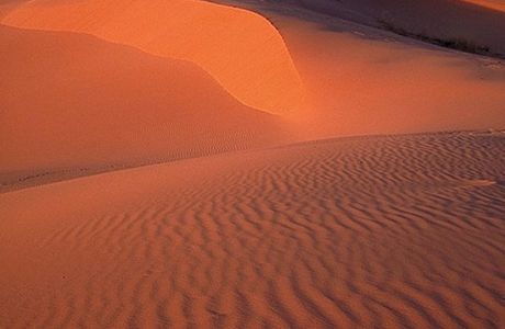 Coral Pink Sand Dunes State Park