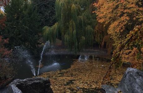 Jardin de la Rhônelle