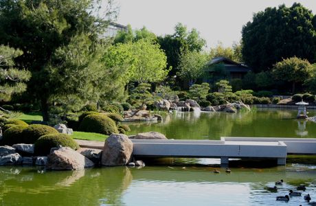 Japanese Friendship Garden of Phoenix