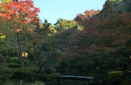 Ikedayama Park Gallery