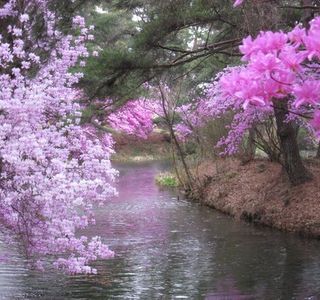 Kiriishi Park