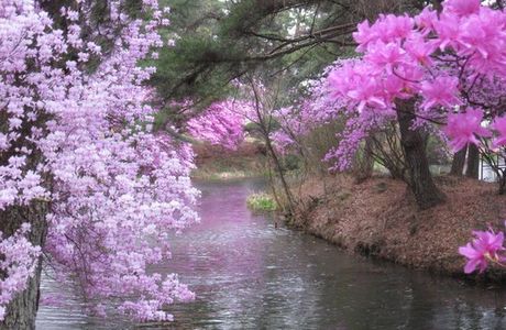 Kiriishi Park