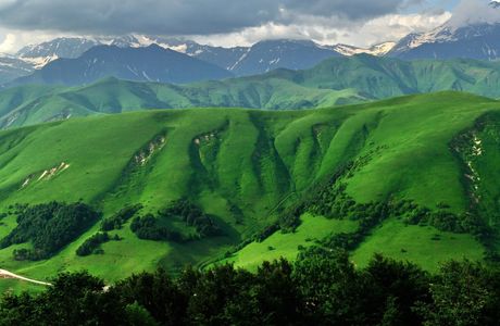 Green Mountains