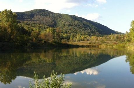 Greylock Glen