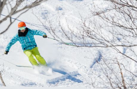 Hakuba Snow Dragon Ski & Snowboard School