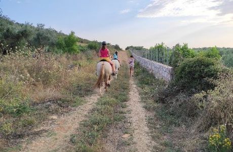 Horse Riding Alonaki