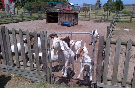 Holmeleigh Farmyard