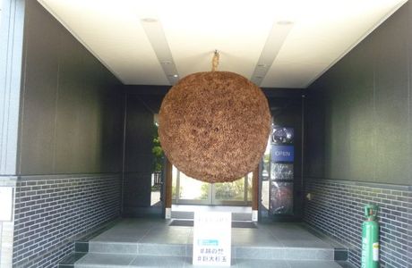 Hara Sake Brewery