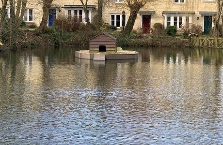 Moreton In Marsh Duck Pond
