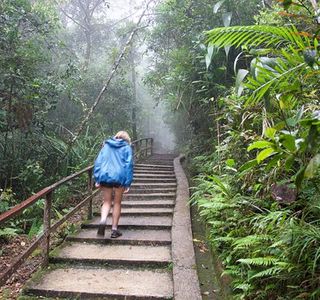 Mount Kinabalu Botanical Garden
