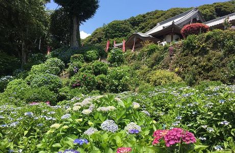 Mt. Sugitake Fudoson Daishoji Temple
