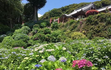 Mt. Sugitake Fudoson Daishoji Temple 1