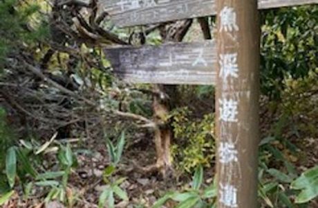 Mt. Hagiwara Dangyokei Nature Trail