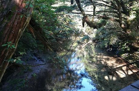 Mt. Miyanouradake
