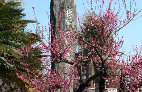 Moyanoijin Shrine