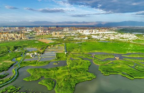 National Wetland Park