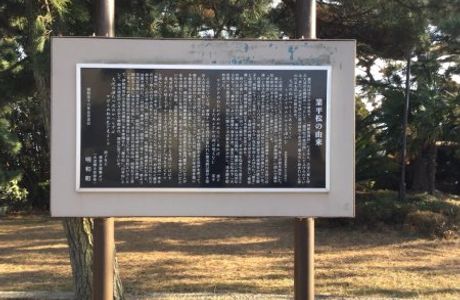 Narihira Matsu