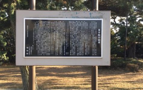 Narihira Matsu 1