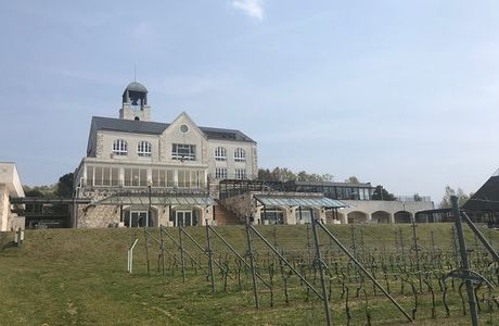 Nakaizu Winery Chateau T. S
