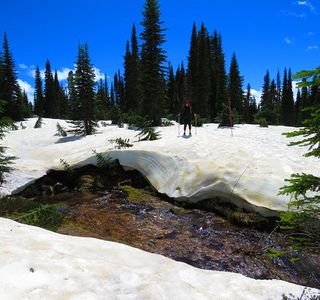 Nisqually Vista Loop