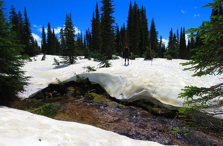 Nisqually Vista Loop