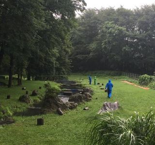 Ningen Ranch