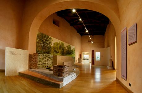 Museo Francescano E Zona Archeologica