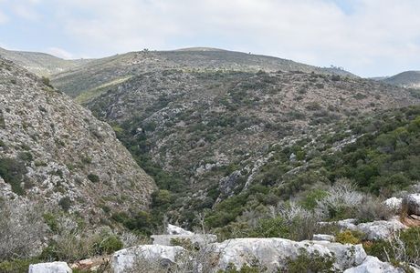 Nahal Sfunim