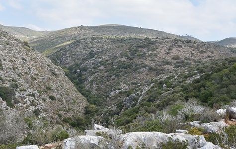 Nahal Sfunim 1