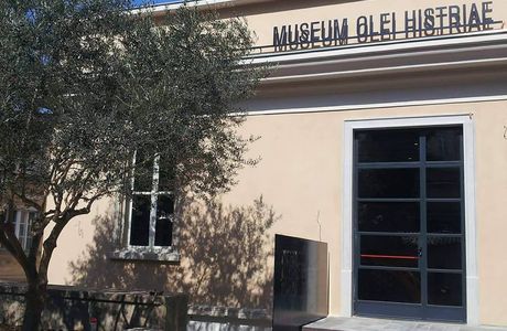 Museum Olei Histriae