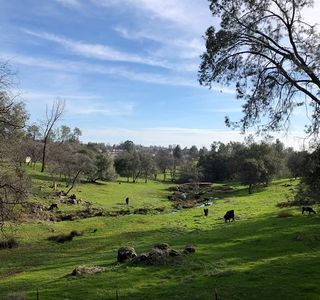 Long Creek Winery & Ranch