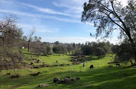 Long Creek Winery & Ranch