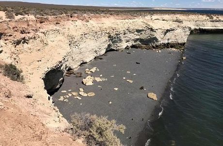 Loberia de Punta Loma