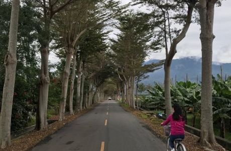 Luye Longtian Bikeway District