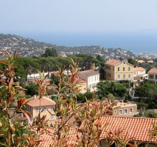 Marché sur Bormes les Mimosas