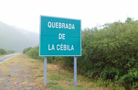 Quebrada de la Cebila