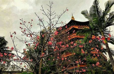 Qionghai Boao Oriental Culture Garden