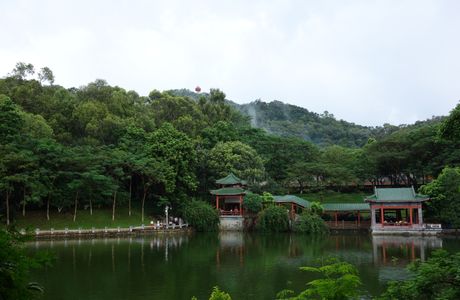 Qifeng Park