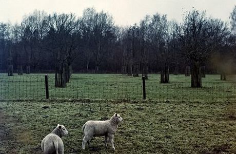 Provinciaal Groendomein De Averegten