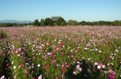 Saitobaru Park