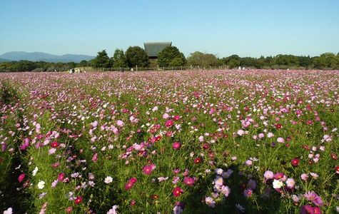 Saitobaru Park 1