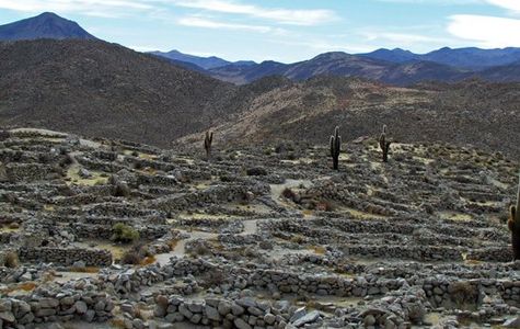 Ruins of Tastil 1