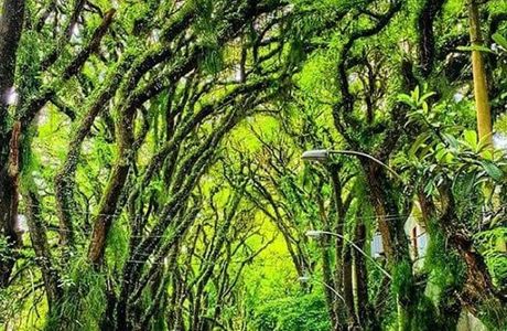 Rua Goncalo de Carvalho