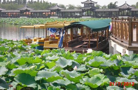 Sanshui Lotus World