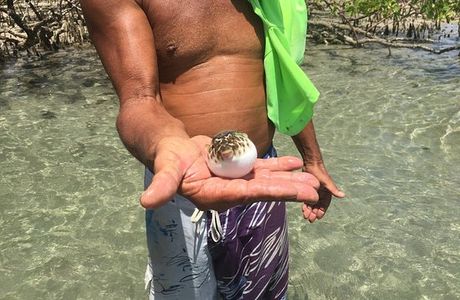 Rio Maracaipe
