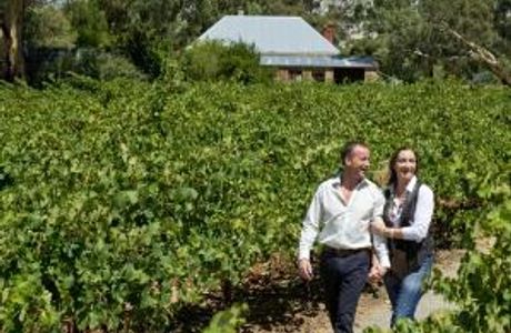 Reillys Wines Vineyard Walk
