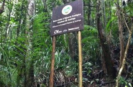 Reserva Ecológica da Juatinga