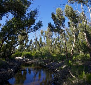 Rocky River Waterhole