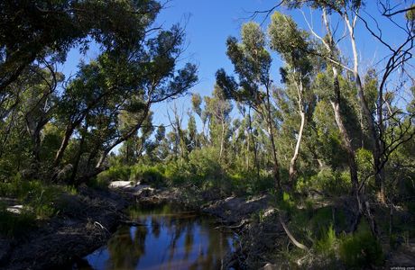 Rocky River Waterhole