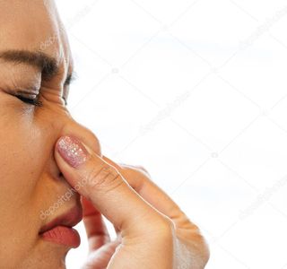 Nose no Sato